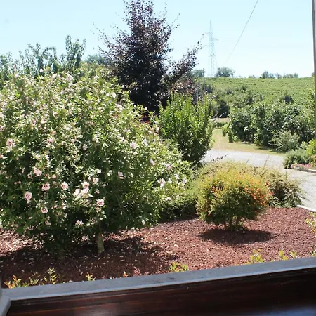 Il Segnavento Cassinasco