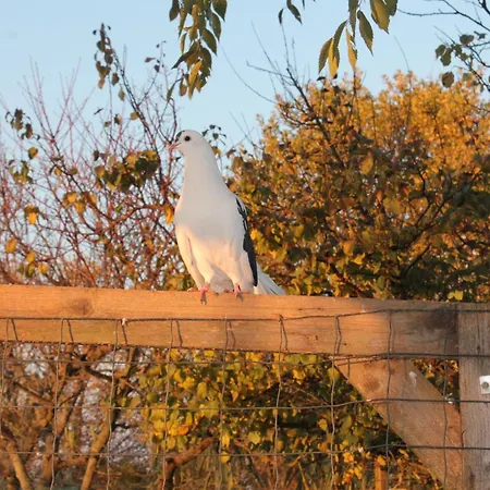 Tatil Evi Il Segnavento