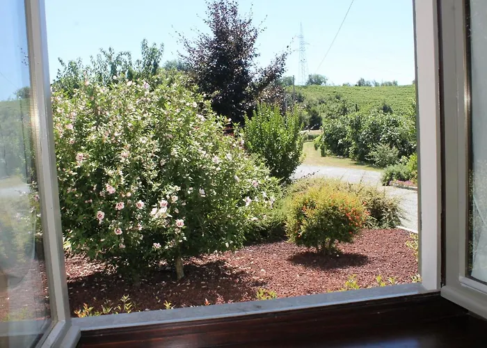 Il Segnavento Cassinasco