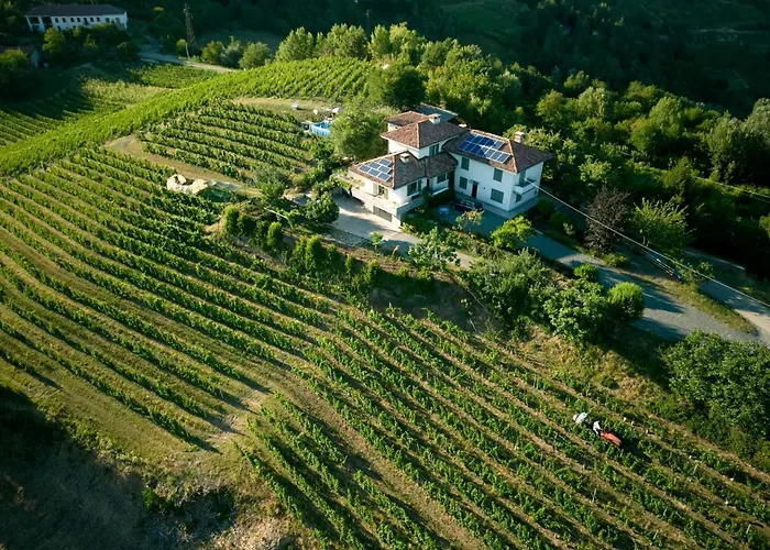 Il Segnavento * Cassinasco