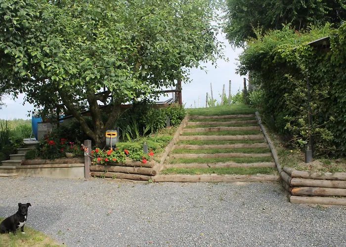 Il Segnavento * Cassinasco