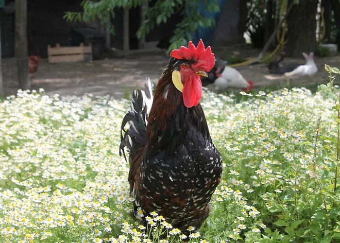 Hébergement de vacances Il Segnavento *