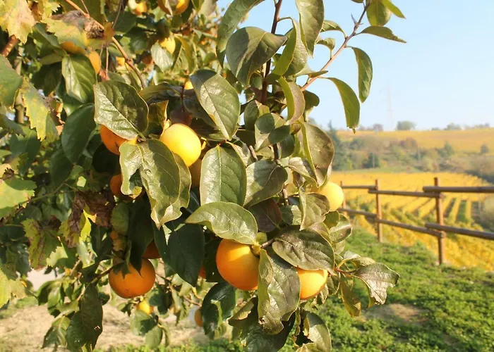Hébergement de vacances Il Segnavento Cassinasco
